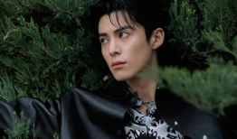 娱乐圈吃瓜爆料王鹤棣刘亦菲,娱乐圈吃瓜爆料再掀热潮